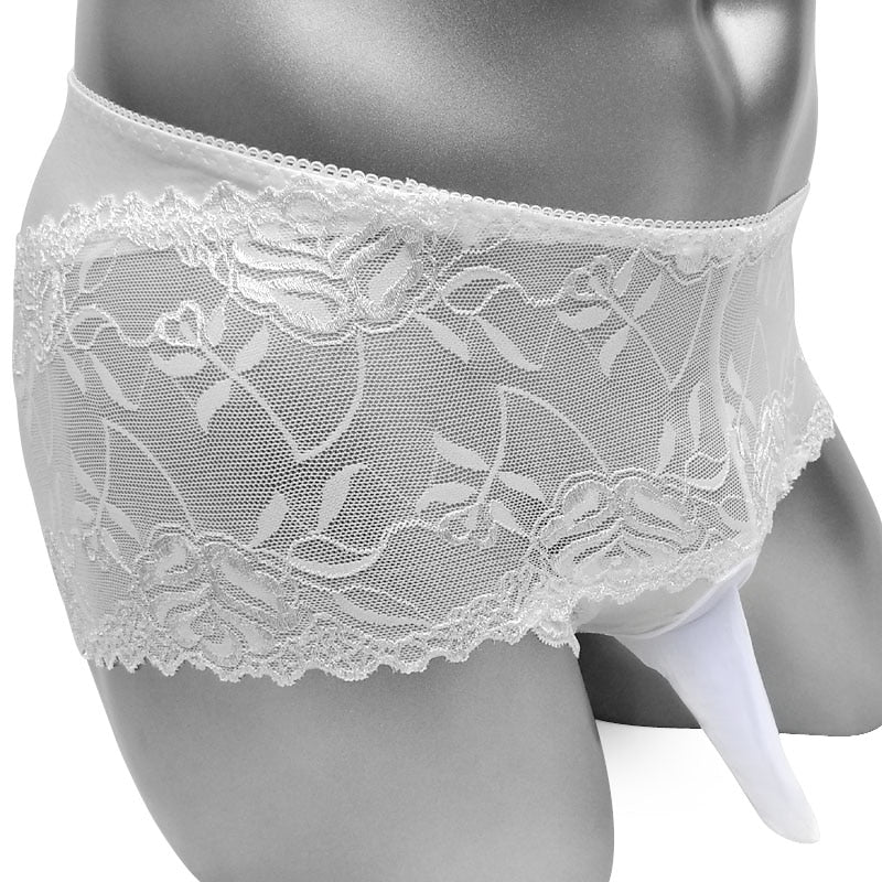 Ringo Brownstarr Lace Pouch Panties