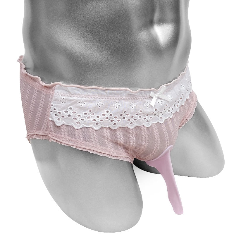 See Through Pouch Panties With Penis Sheath