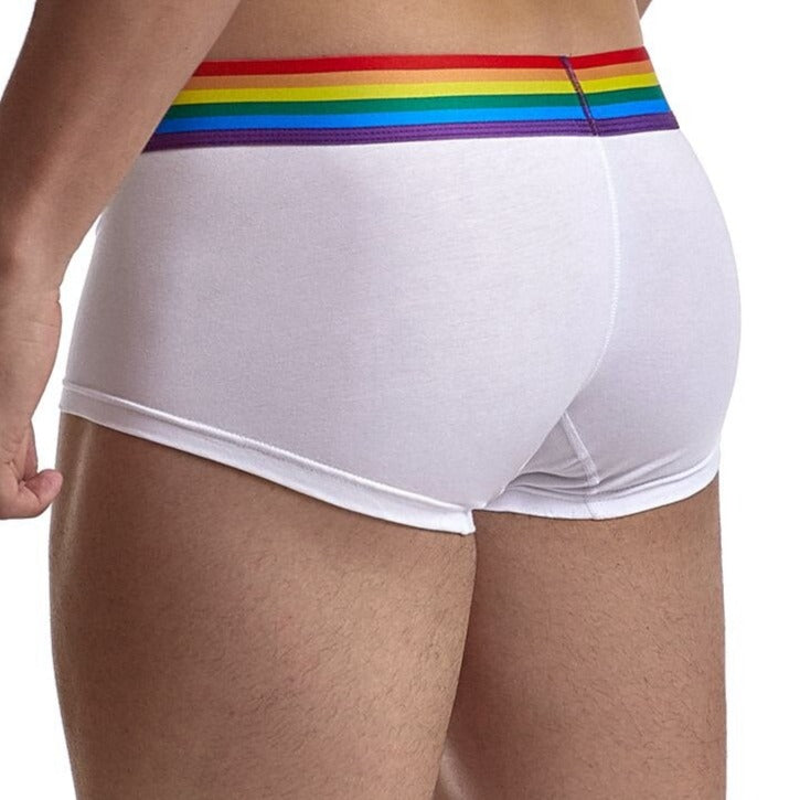 LGBT Rainbow Stripe Boxer Shorts