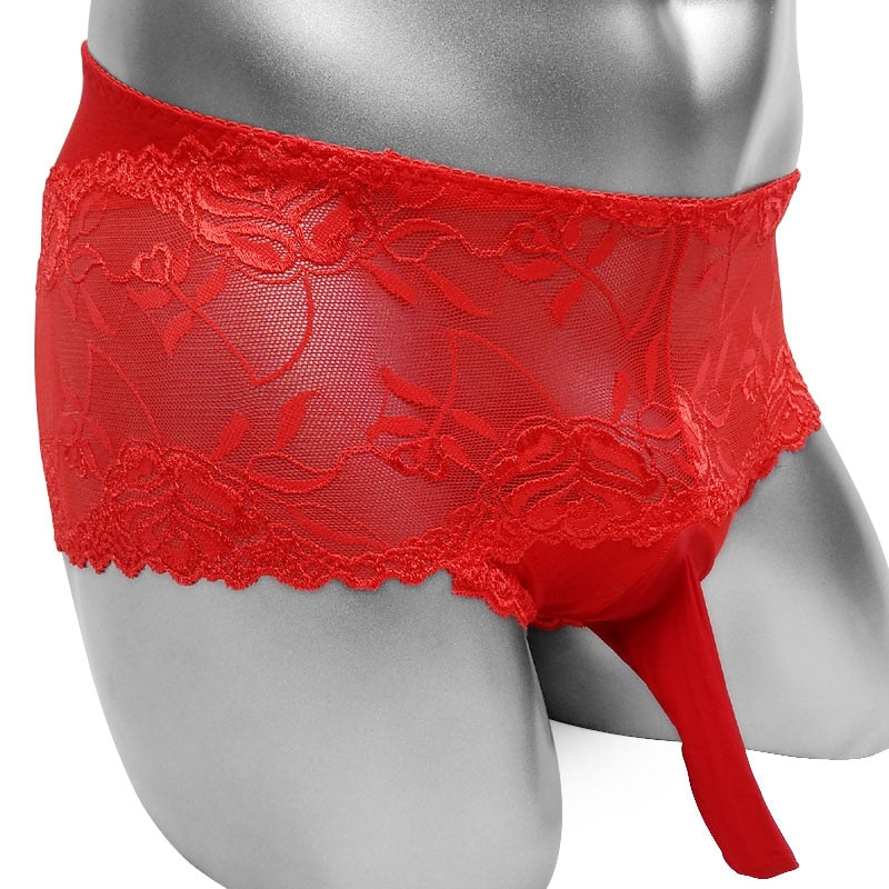 Ringo Brownstarr Lace Pouch Panties