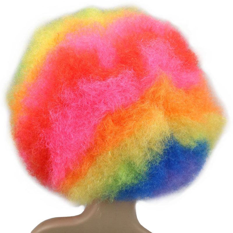 Rainbow Afro Wig