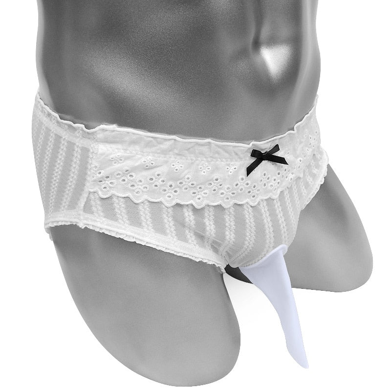 See Through Pouch Panties With Penis Sheath