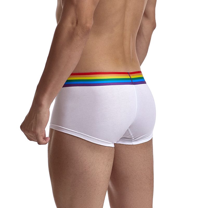 Rainbow Stripe Boxer Shorts
