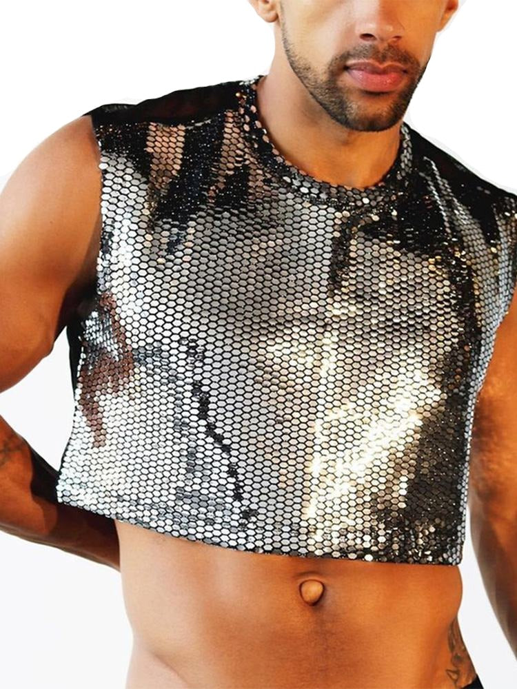 Show Time Shiny See Through Crop Top