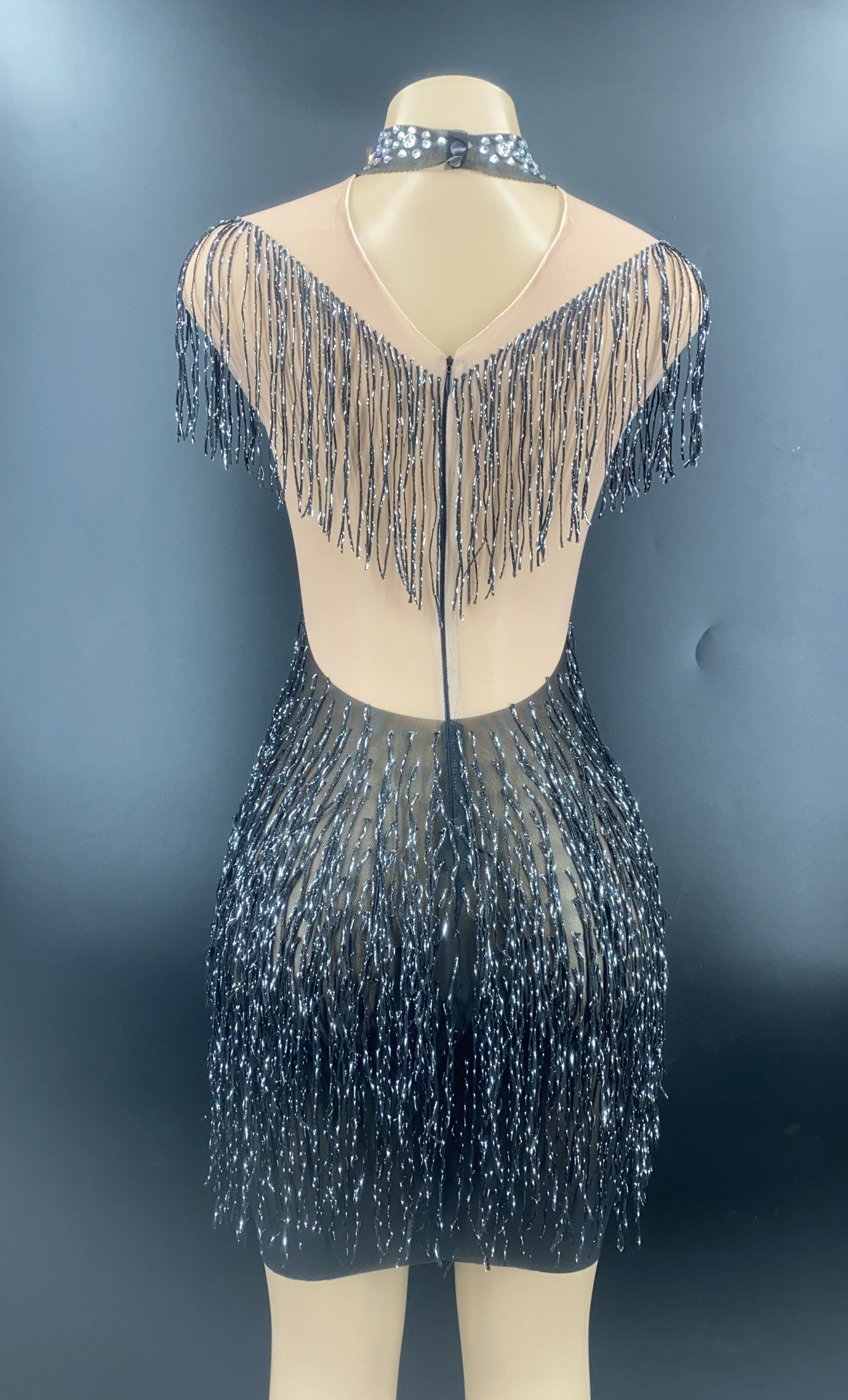 Angela Develle Sparkly Fringe Dress