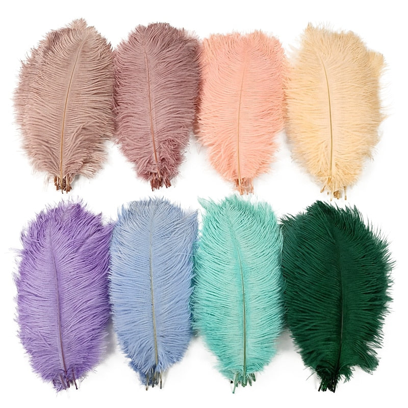 Colored Ostrich Feathers