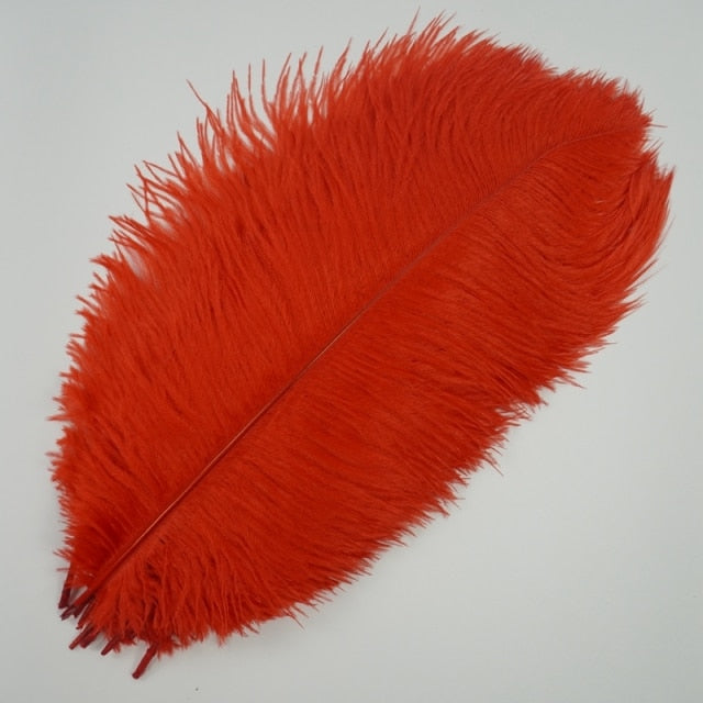 Colored Ostrich Feathers