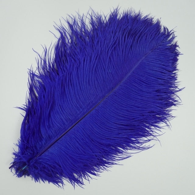 Colored Ostrich Feathers