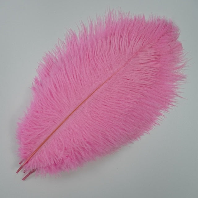 Colored Ostrich Feathers