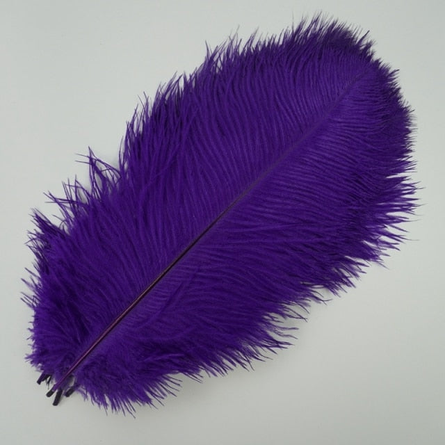 Colored Ostrich Feathers