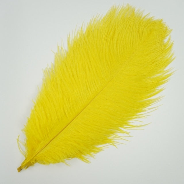 Colored Ostrich Feathers