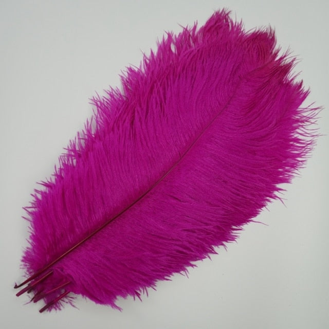 Colored Ostrich Feathers