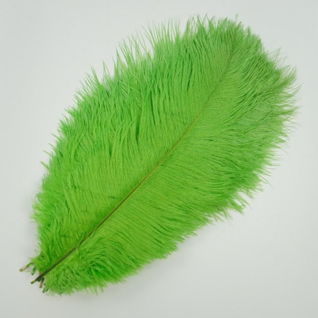 Colored Ostrich Feathers