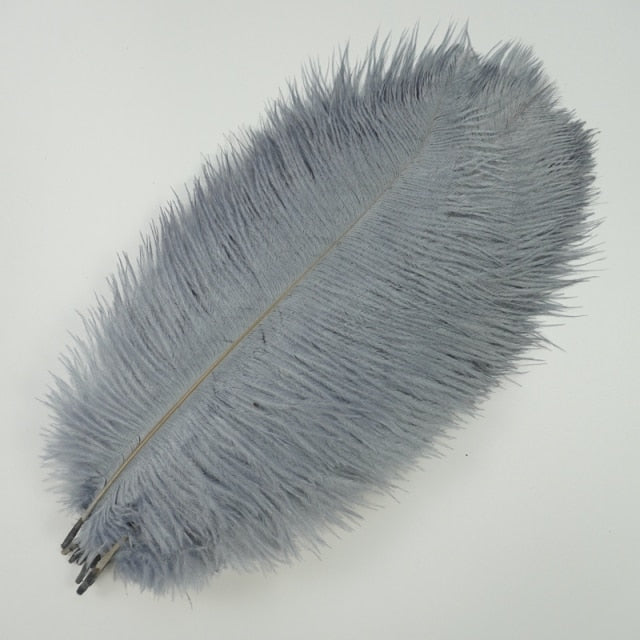 Colored Ostrich Feathers