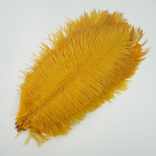 Colored Ostrich Feathers