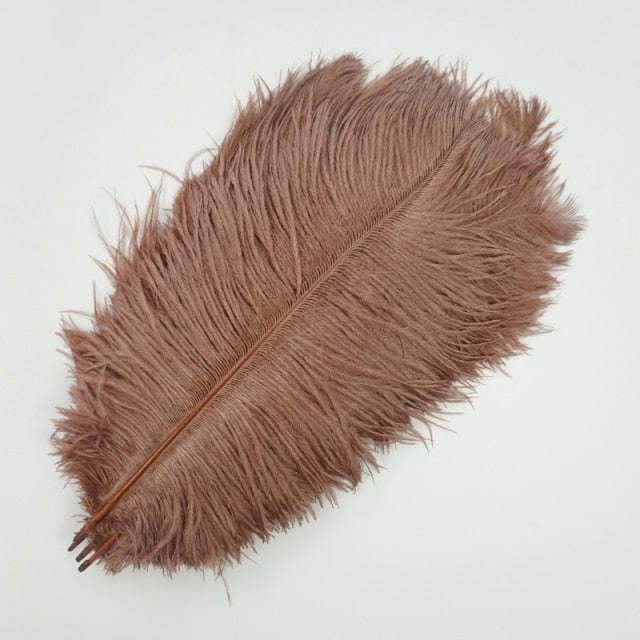 Colored Ostrich Feathers