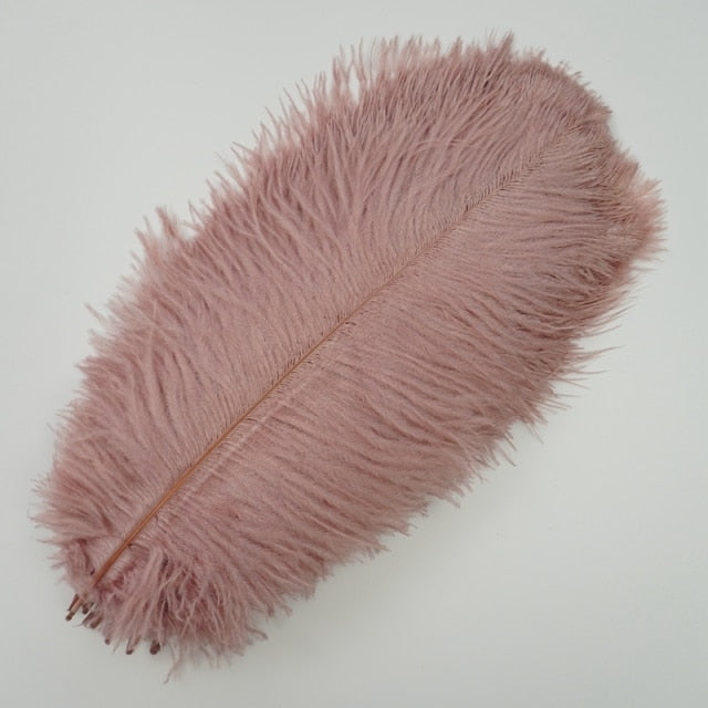 Colored Ostrich Feathers