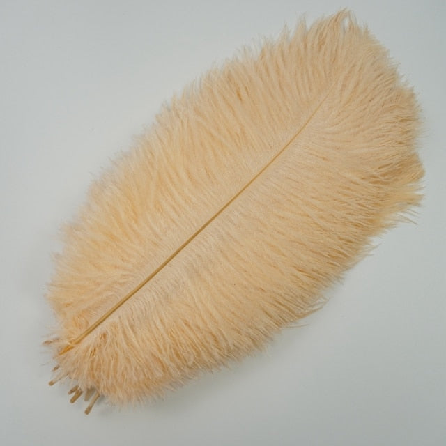 Colored Ostrich Feathers