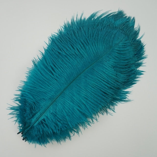 Colored Ostrich Feathers