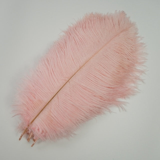 Colored Ostrich Feathers